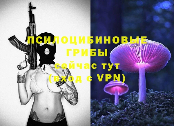 дживик Мегион