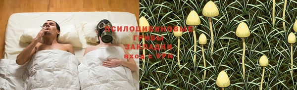 мяу мяу мука Магадан
