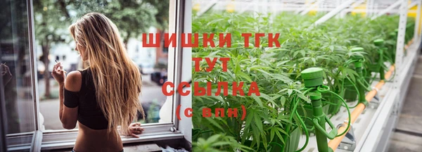 spice Медвежьегорск