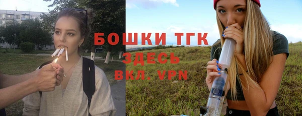 дживик Мегион