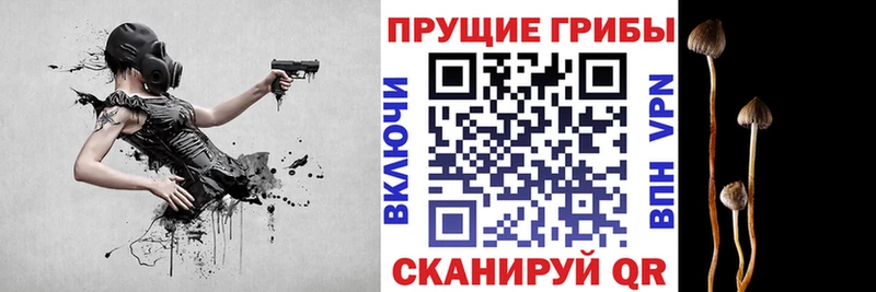 Псилоцибиновые грибы Psilocybe Инза