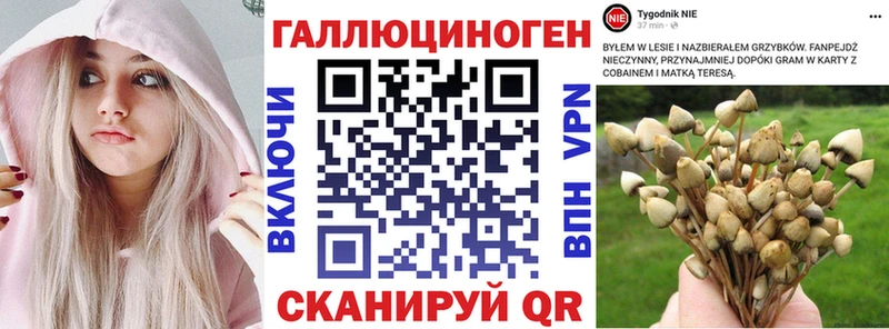 Купить где  Инза  Псилоцибиновые грибы мухоморы 